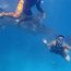 Swimming with the Whale Sharks of Oslob